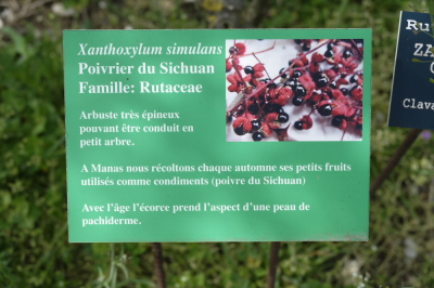 Photo prise liée au parcours