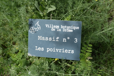 Photo prise liée au parcours