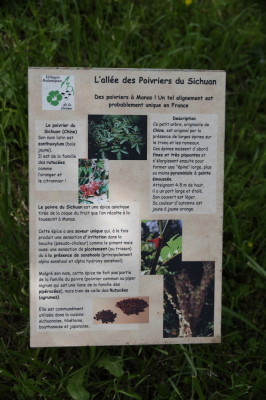 Photo prise liée au parcours
