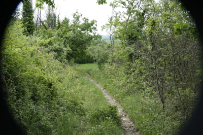 Photo prise liée au parcours