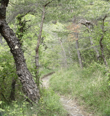 Photo prise liée au parcours