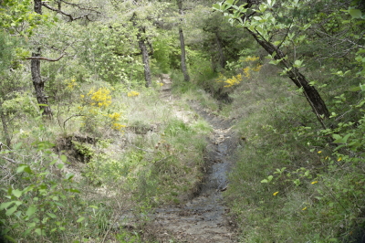 Photo prise liée au parcours
