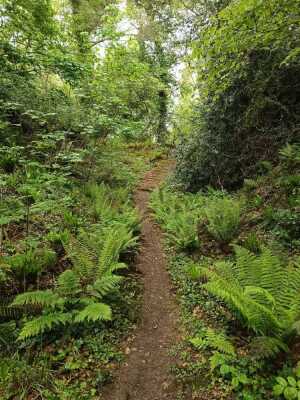 08 mai 2024 QUEMPER-GUEZENNEC