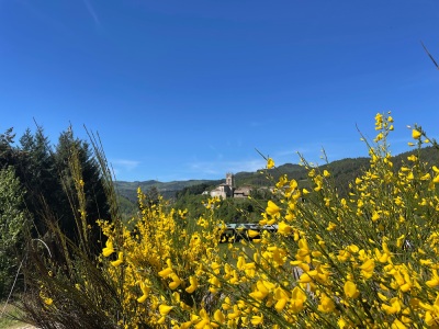 RDD 2024 C3 123 KM +1980m