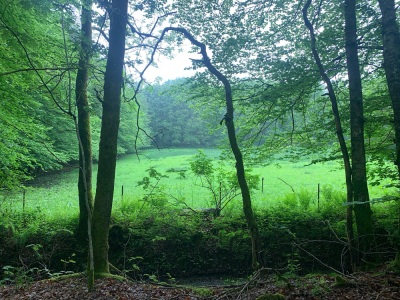 Rando du samedi 1805 CFPTT ouardia