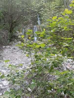 Enregistrement du 01/06/2024