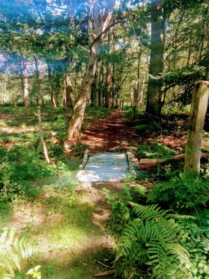 Photo prise liée au parcours