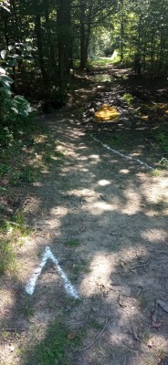 Photo prise liée au parcours