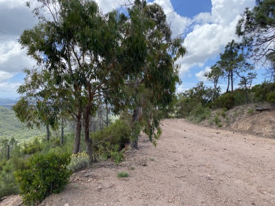 Photo prise liée au parcours