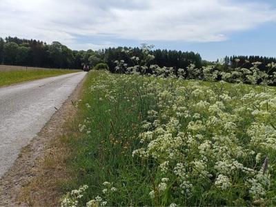 Photo prise liée au parcours