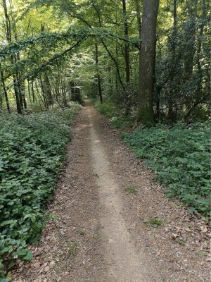 Photo prise liée au parcours