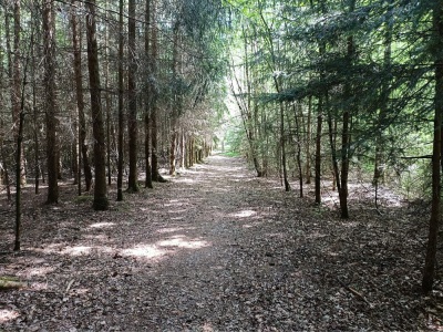 Photo prise liée au parcours