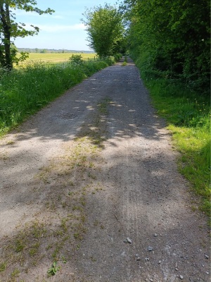 Photo prise liée au parcours