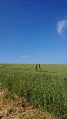 Photo prise liée au parcours