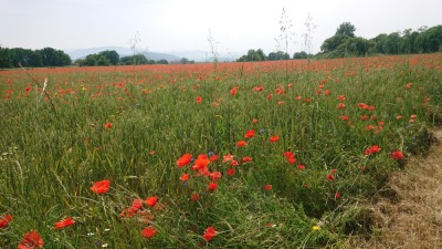 Photo prise liée au parcours