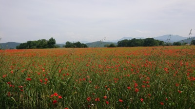 Photo prise liée au parcours