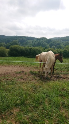 Photo prise liée au parcours