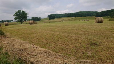 Photo prise liée au parcours