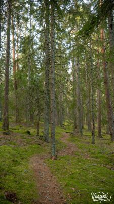 Photo prise liée au parcours