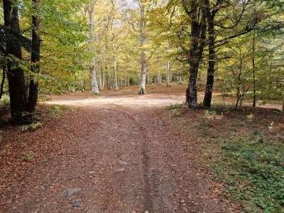 Parcours TRAIL 4 ( ROUGE ) - Marols - Photo 5