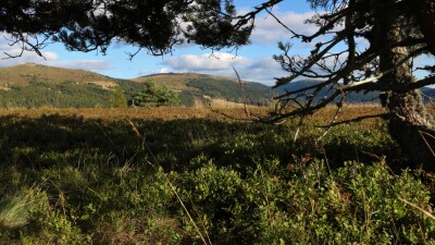 Photo prise liée au parcours