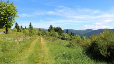 Photo prise liée au parcours