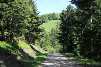 Photo prise liée au parcours