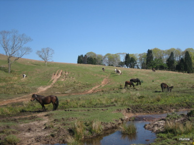Photo prise liée au parcours