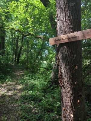Photo prise liée au parcours