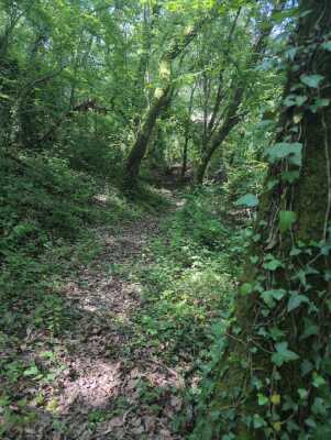 Photo prise liée au parcours