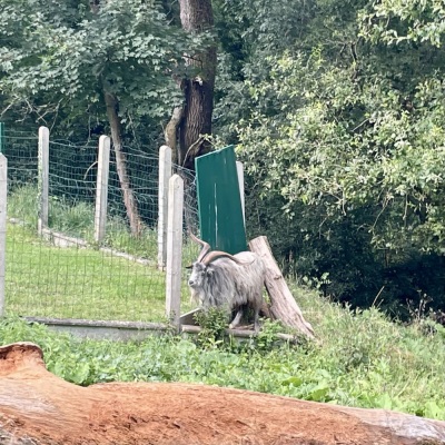 Parcours Lormont Tire-cul AR