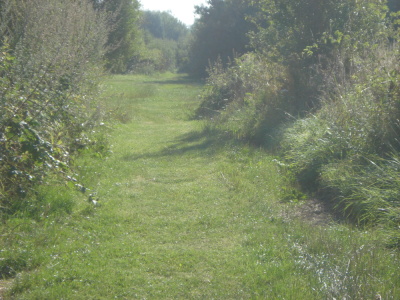 2024-07-28 - Fromelles - Circuit de la bataille de - Fromelles - Photo 8