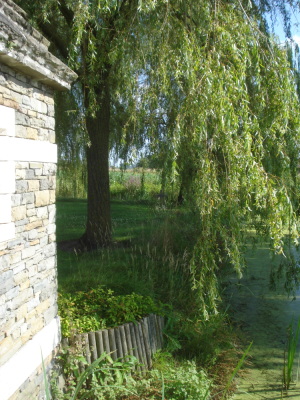 2024-07-28 - Fromelles - Circuit de la bataille de - Fromelles - Photo 52
