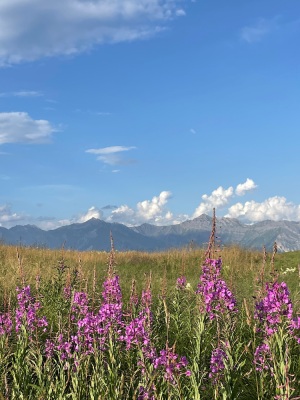 Col de la chal - Villarembert - Photo 1