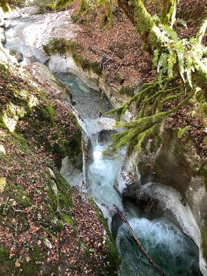 Cascade d'Angon - Talloires-Montmin - Photo 6