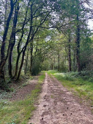 VTT vers Faye d’Anjou via Soulaines