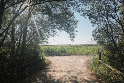 Photo prise liée au parcours