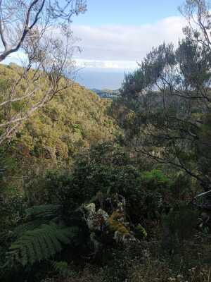 St Denis Mamode Camp Roche Ecrite montée