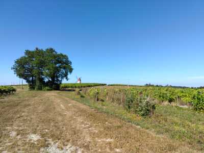 Cierzac, tour 19k en passant par Dolmen