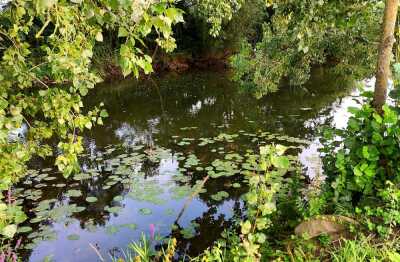 Photo prise liée au parcours