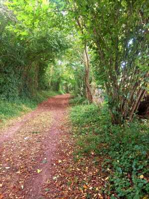 Photo prise liée au parcours