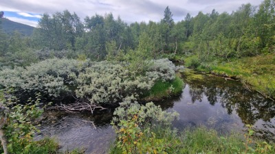 Photo prise liée au parcours