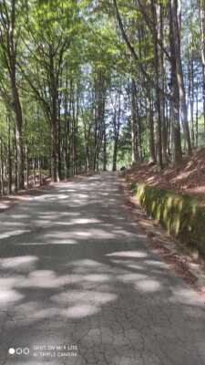 Photo prise liée au parcours