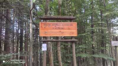 Photo prise liée au parcours