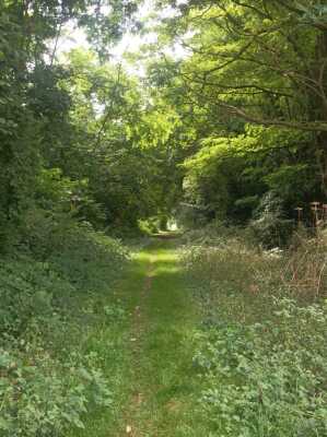 Photo prise liée au parcours