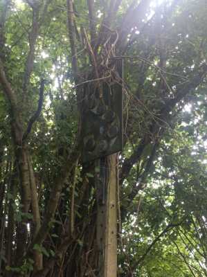 Photo prise liée au parcours