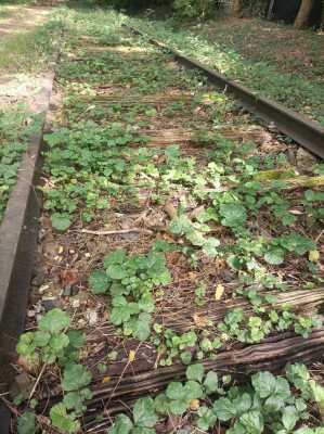 Photo prise liée au parcours