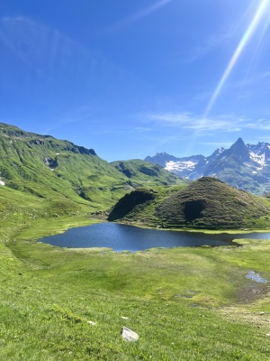 [Fiz] Tour des Fiz - Sans Dérochoir - Passy - Photo 13