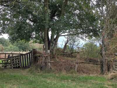 Photo prise liée au parcours