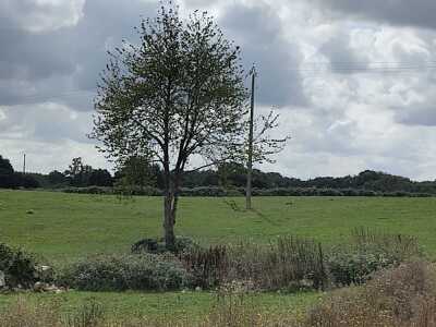 Photo prise liée au parcours